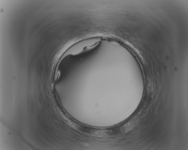 X0000083621367200703121617