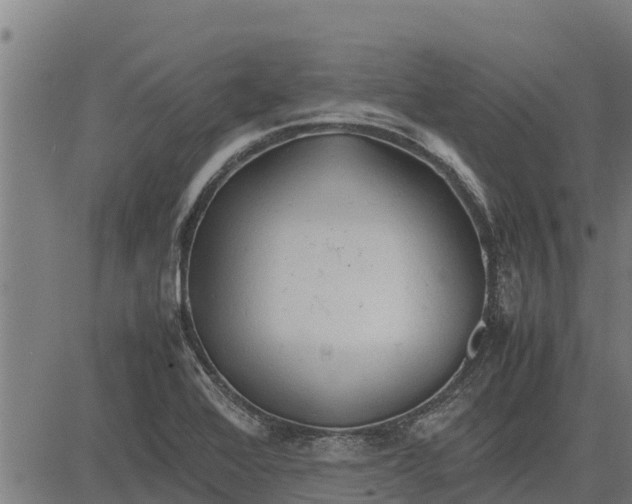 X0000083621368200703121617