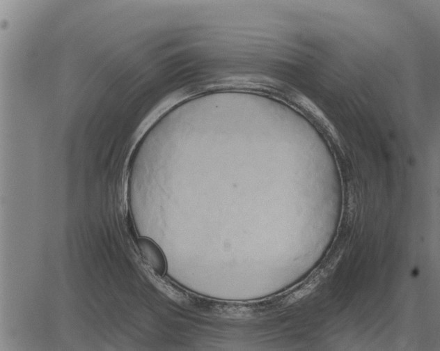 X0000083621370200703121617