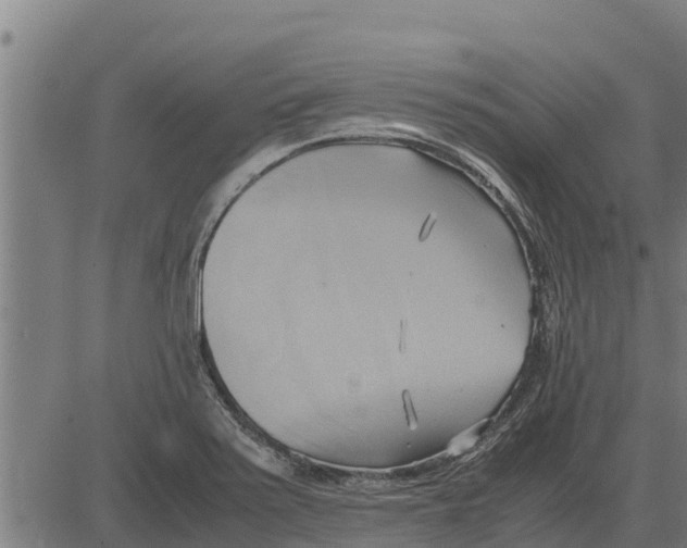 X0000083621371200703121617