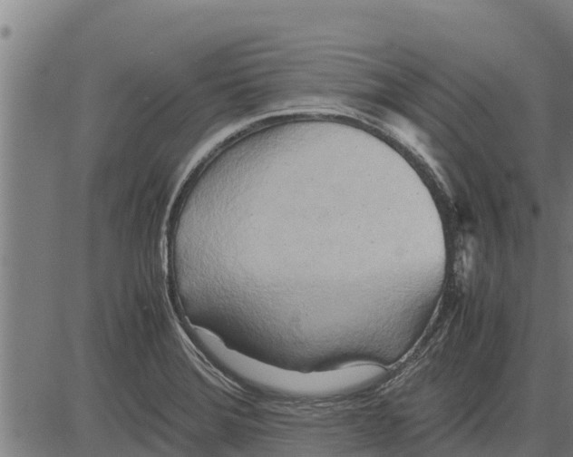 X0000083621372200703121617