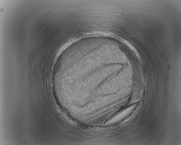 X0000083621373200703121617