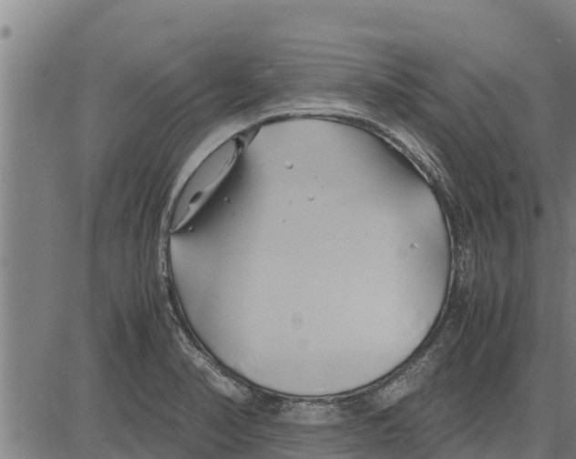 X0000083621374200703121617