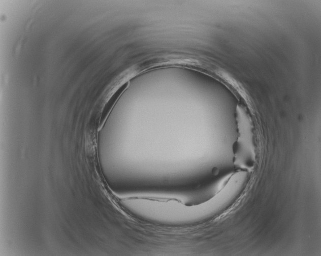 X0000083621377200703121617