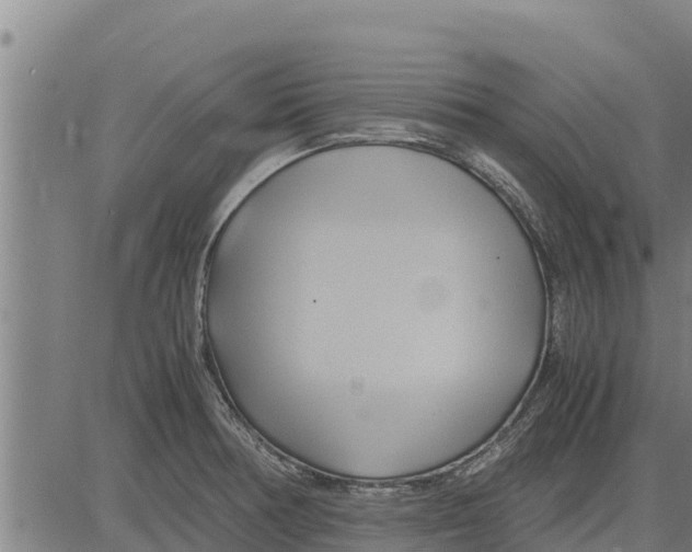 X0000083621378200703121617