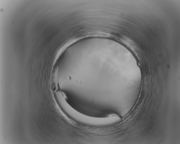 X0000083621379200703121617