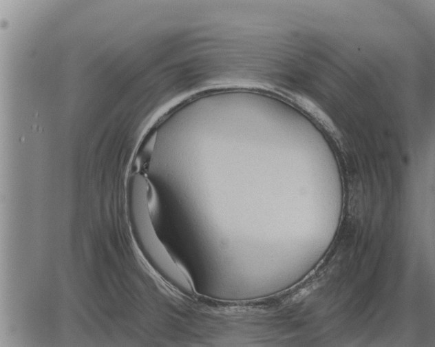 X0000083621380200703121617