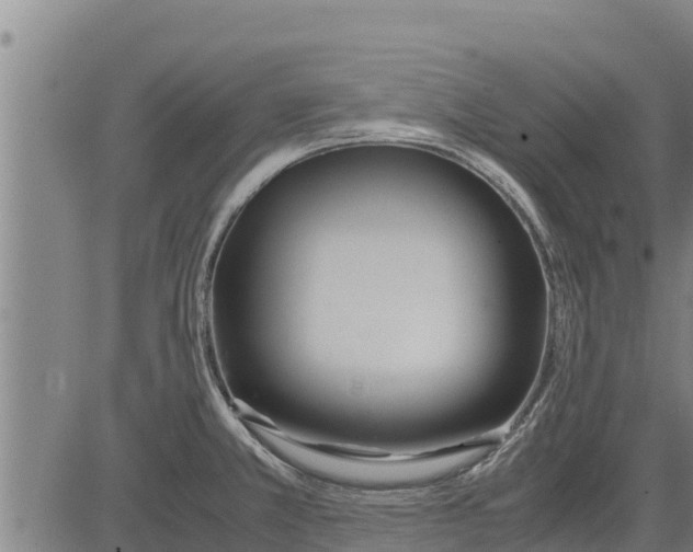 X0000083621381200703121617