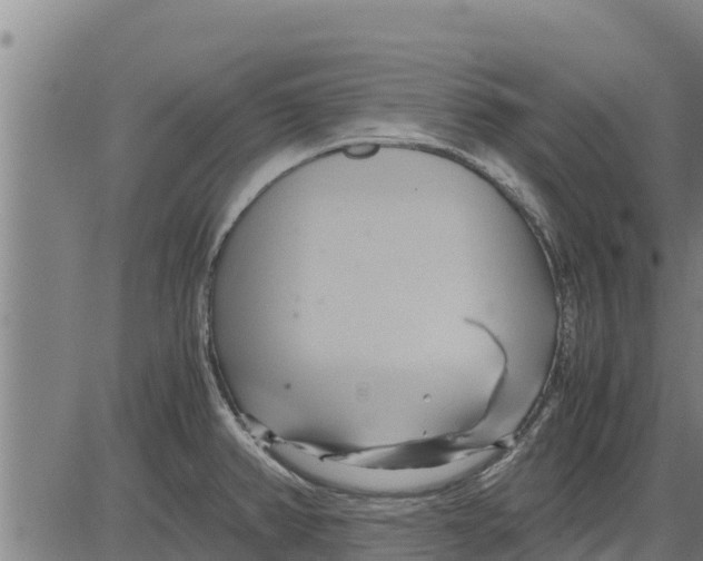 X0000083621382200703121617