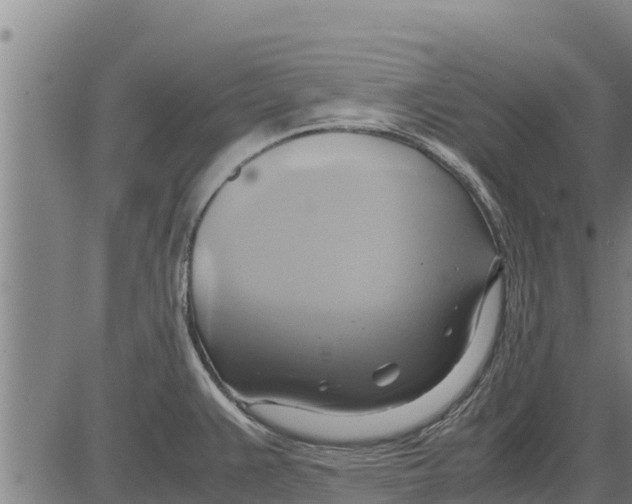 X0000083621383200703121617