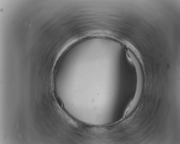 X0000083621384200703121617