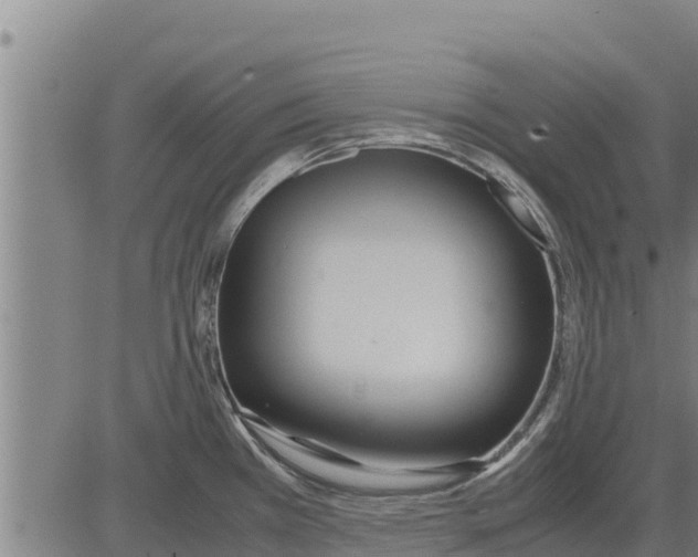 X0000083621385200703121617