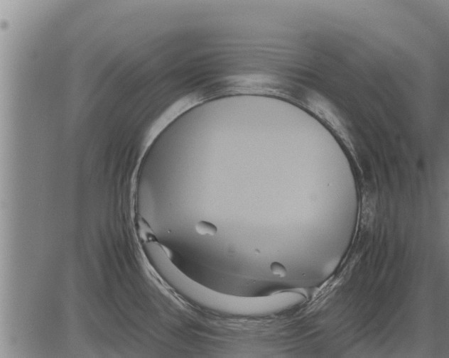 X0000083621386200703121617