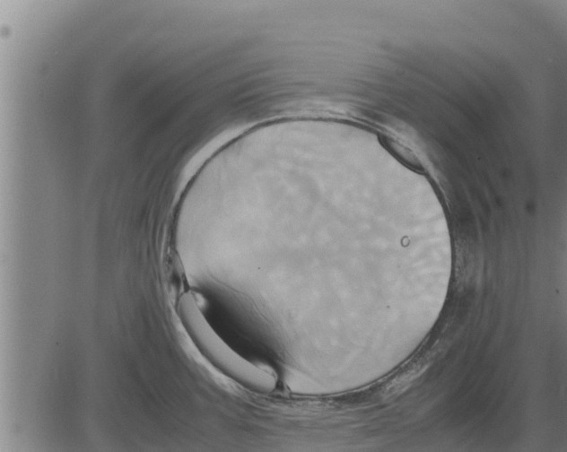 X0000083621387200703121617