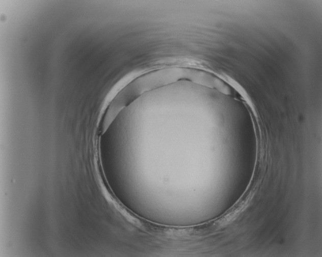 X0000083621389200703121617