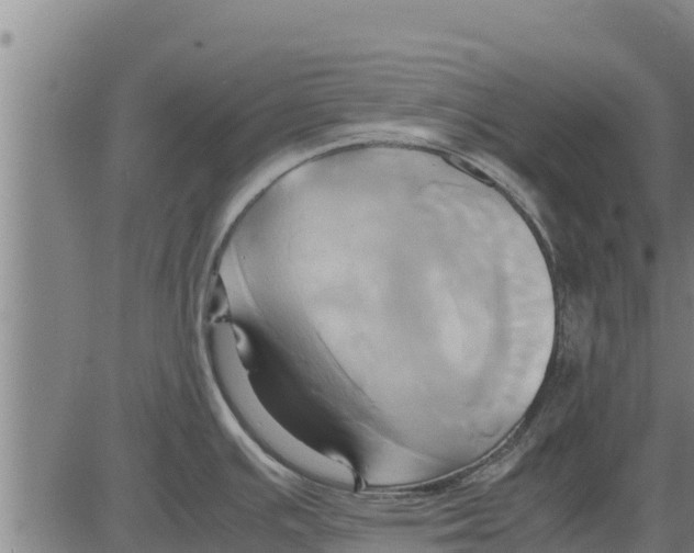 X0000083621391200703121617