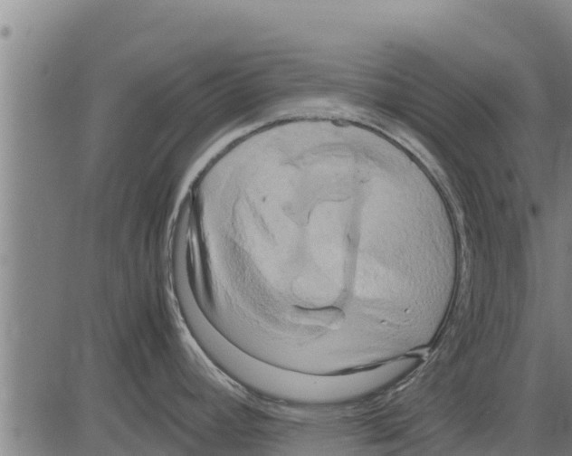 X0000083621392200703121617