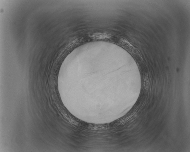 X0000083621393200703121616