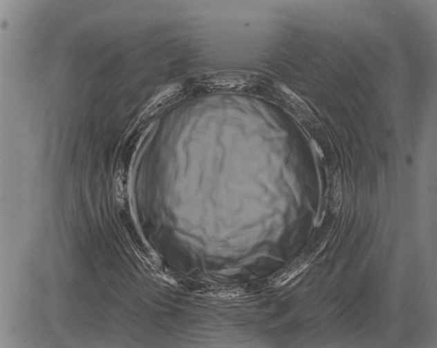 X0000083621394200703121616