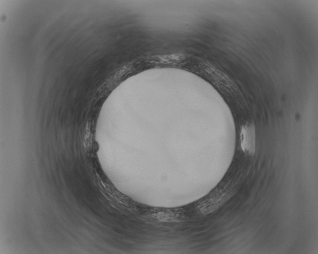 X0000083621395200703121616