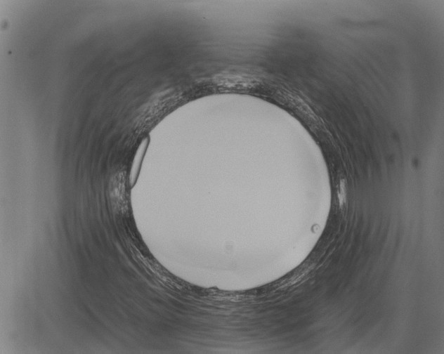 X0000083621396200703121616