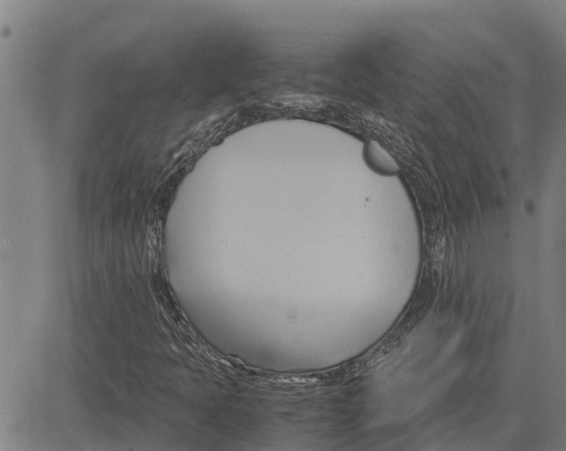 X0000083621397200703121616