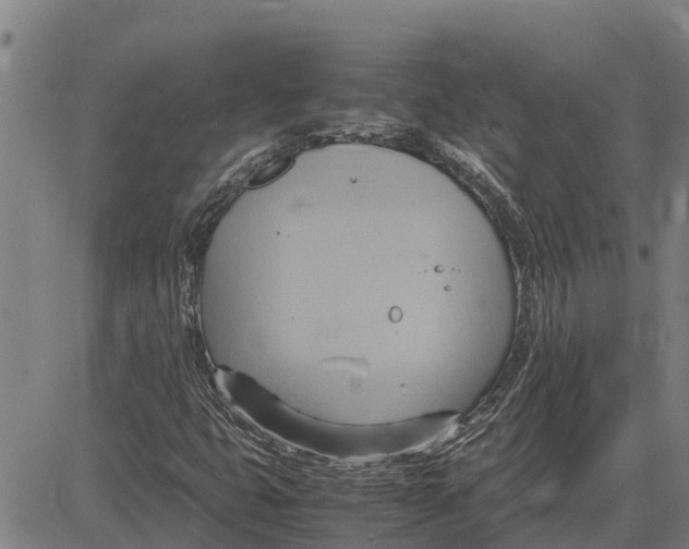 X0000083621399200703121616