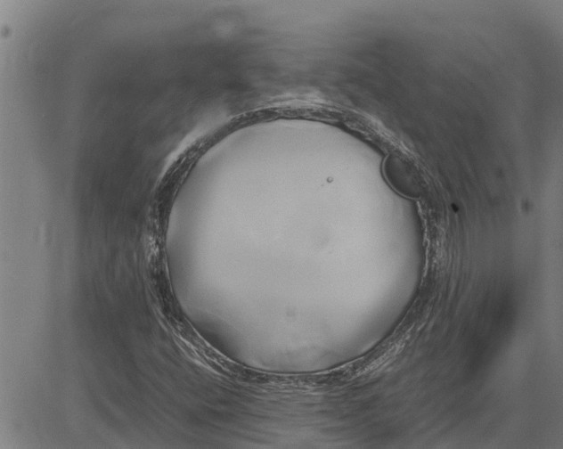 X0000083621400200703121616