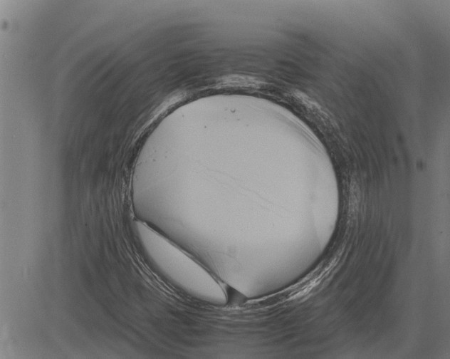 X0000083621401200703121616