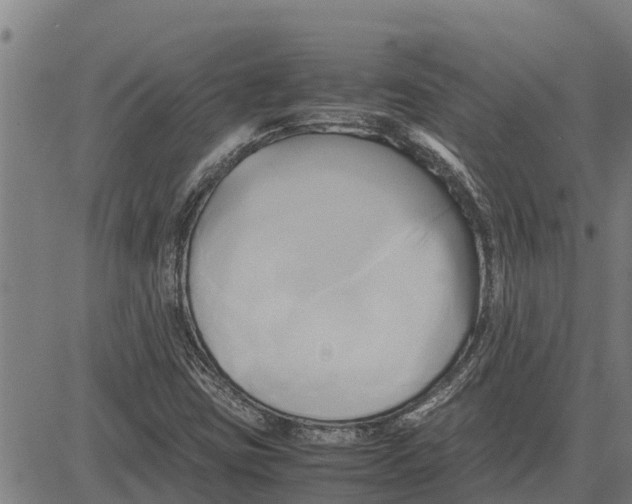 X0000083621403200703121616