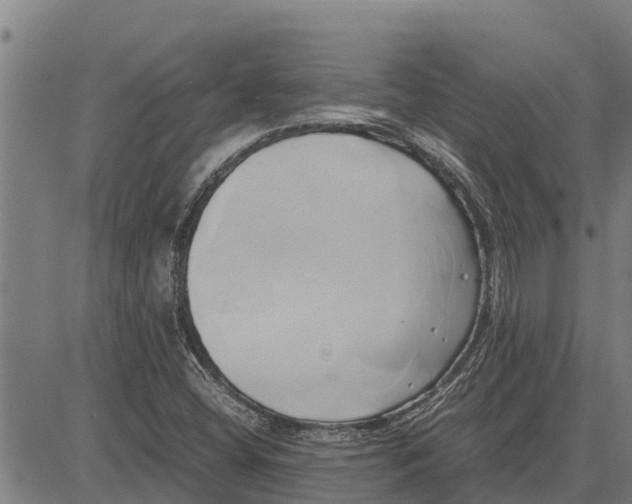 X0000083621404200703121616