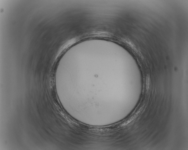 X0000083621405200703121616