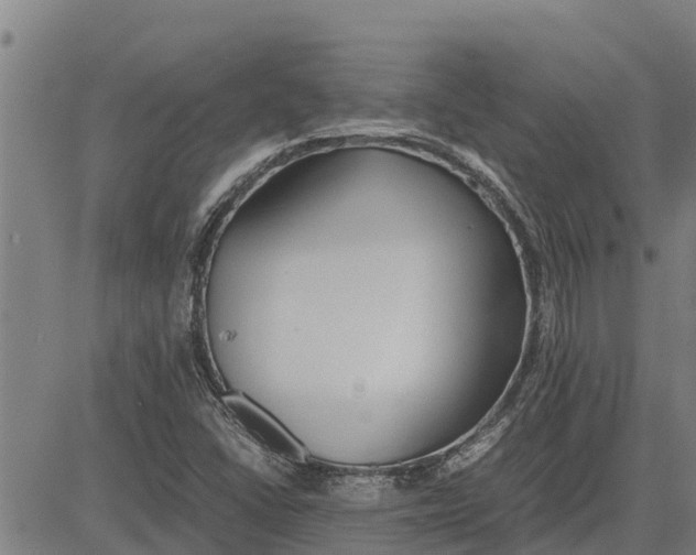 X0000083621406200703121616