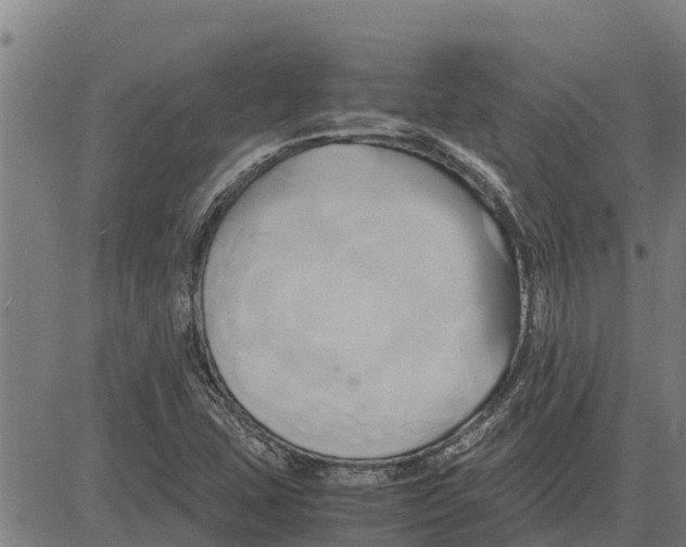 X0000083621407200703121616