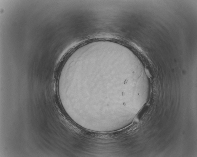 X0000083621408200703121616