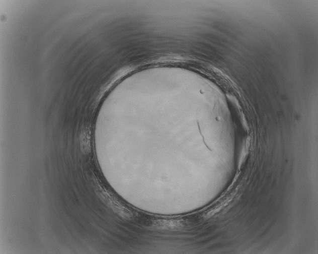 X0000083621409200703121616