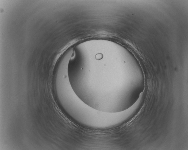 X0000083621410200703121616