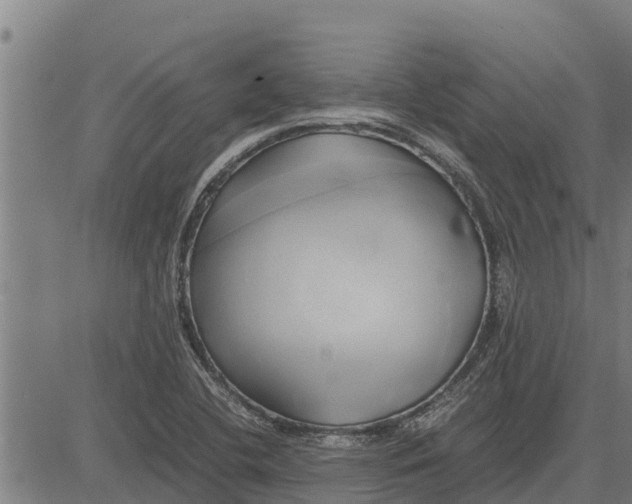 X0000083621412200703121616