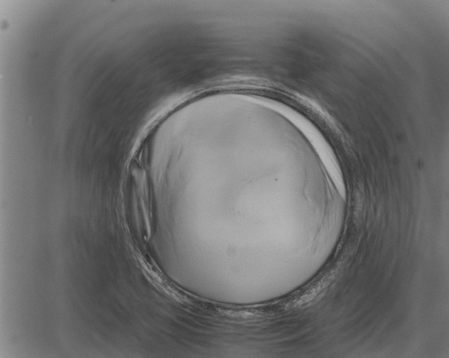 X0000083621413200703121616