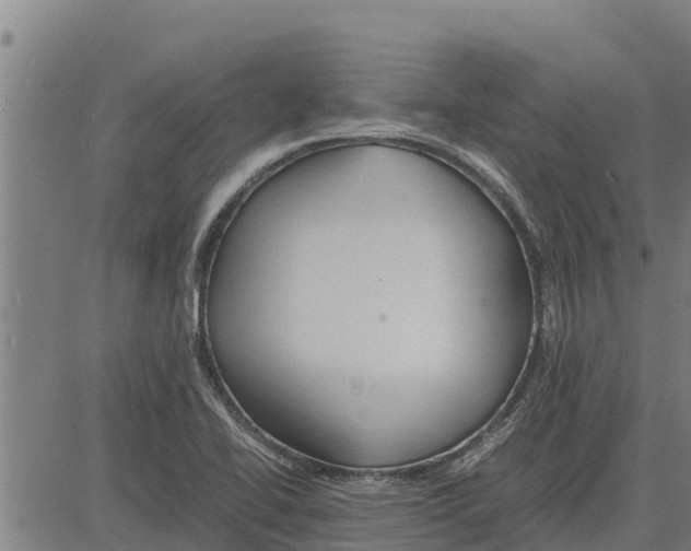 X0000083621414200703121616