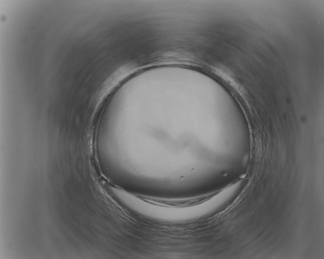 X0000083621415200703121616