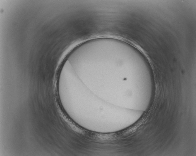 X0000083621416200703121616