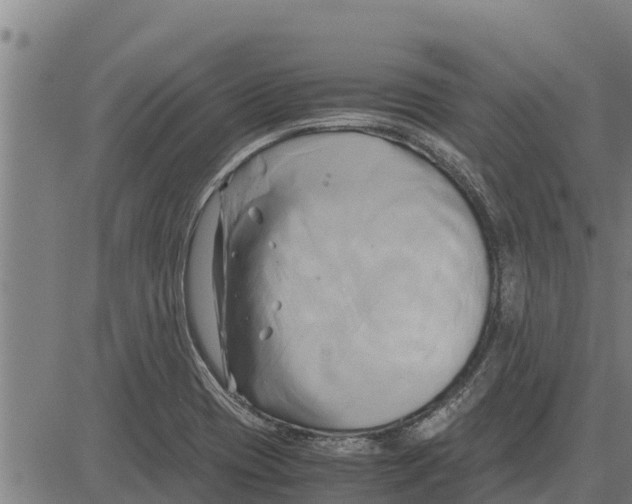 X0000083621417200703121616