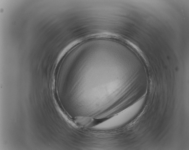 X0000083621418200703121616