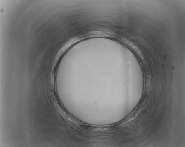 X0000083621419200703121616