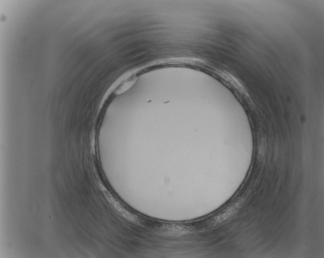 X0000083621420200703121617