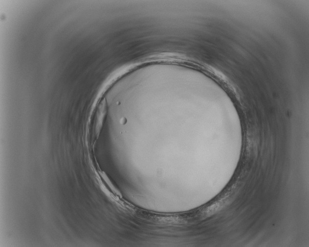 X0000083621421200703121617