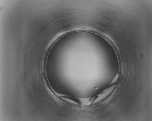 X0000083621422200703121617