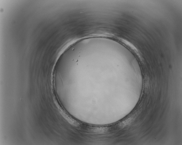 X0000083621423200703121617