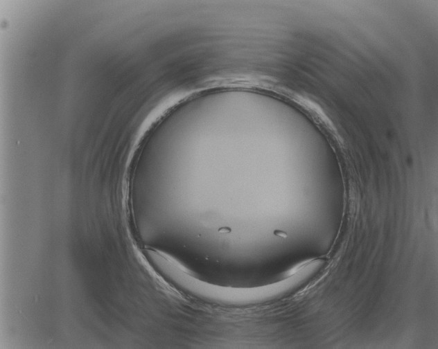 X0000083621424200703121617